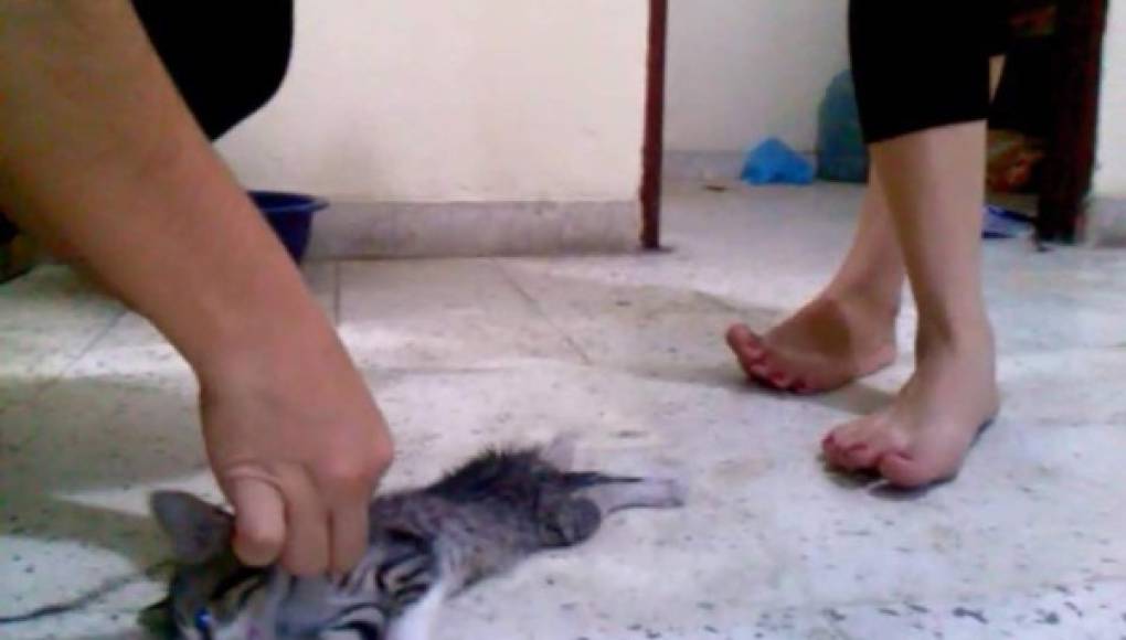 Indignación por jóvenes que torturan y matan animales en Honduras