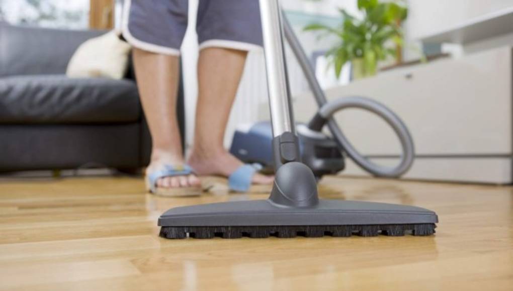 El polvo de las casas contiene miles de microbios