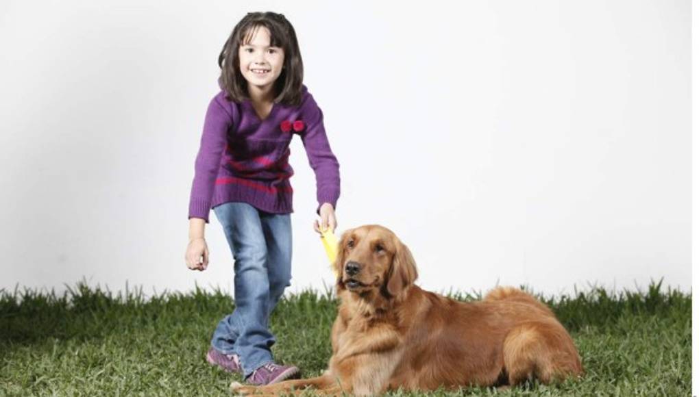 5 reglas básicas para pasear al perro