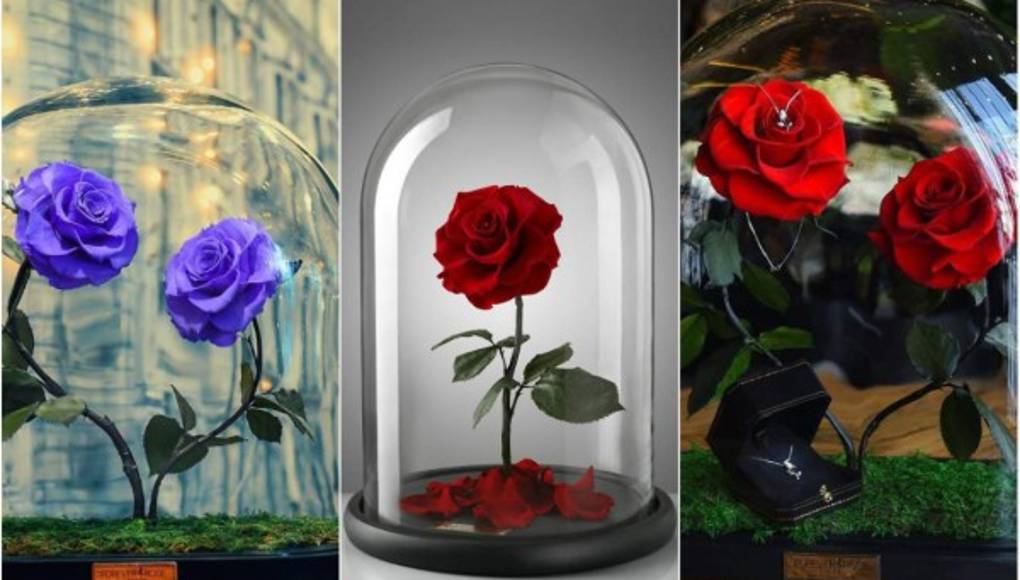 Réplica de la rosa de 'La Bella y la Bestia'