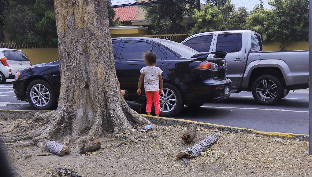 Expertos de organizaciones señalan que lo preocupante es que adultos han visto en la mendicidad una forma fácil y rápida de obtener dinero y utilizan a niños cada vez más pequeños para recolectar más.