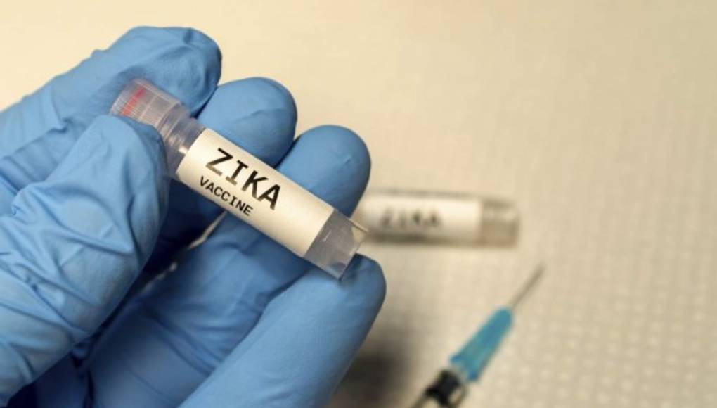 Una vacuna basada en el ADN protege del Zika en un estudio con animales