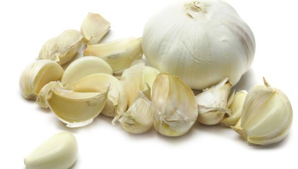 Siembre ajo de forma rápida y sencilla