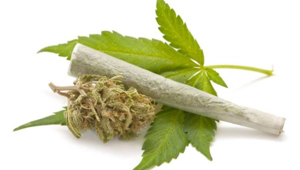 Los fumadores de marihuana enfrentan 5 veces más de abusar del alcohol