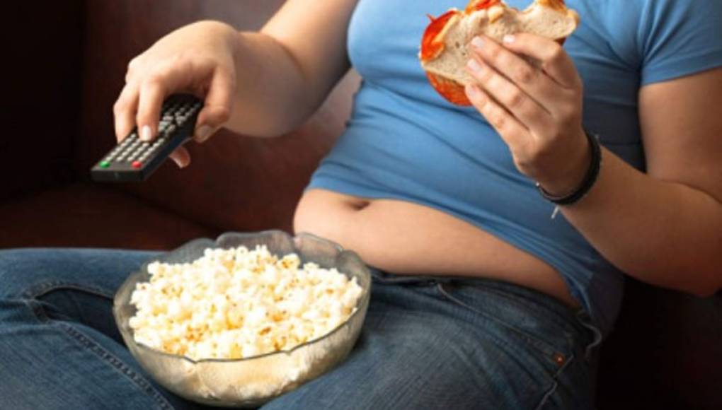 La dieta occidental rica en grasas perjudica al medio ambiente  