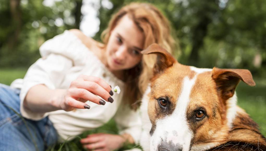 ¿Sabía que los perros pueden detectar a las malas personas?