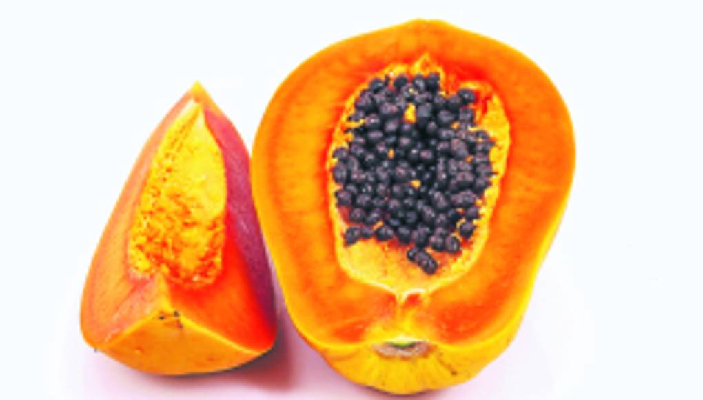 Alimentos que protegen la piel del sol