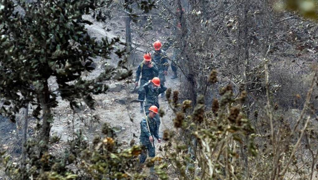 Los incendios afectaron 90.547 hectáreas de bosques en Honduras durante el 2021