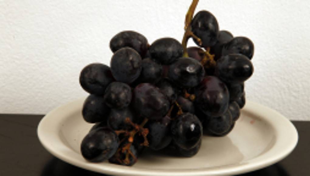 Alimentos que protegen la piel del sol