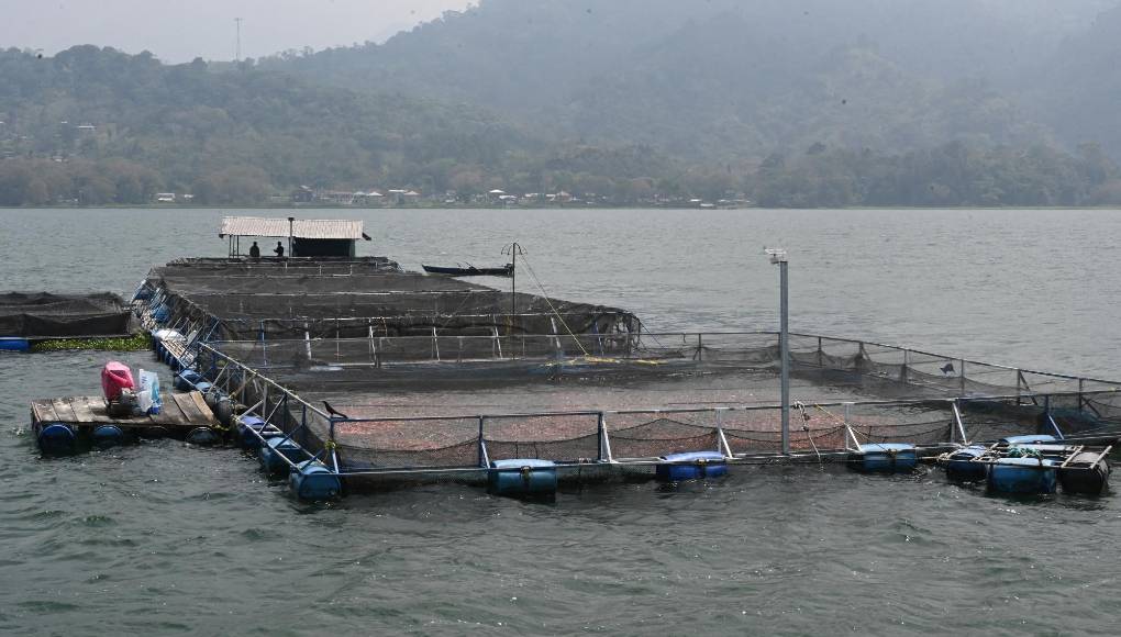Al visitar el lago, Félix Fernández-Shaw dijo que “hay que limpiar, hay que regenerar el lago” y organizar a las comunidades ribereñas para el manejo apropiado de la basura y gestión de aguas residuales para obtener una “rehabilitación integral”.