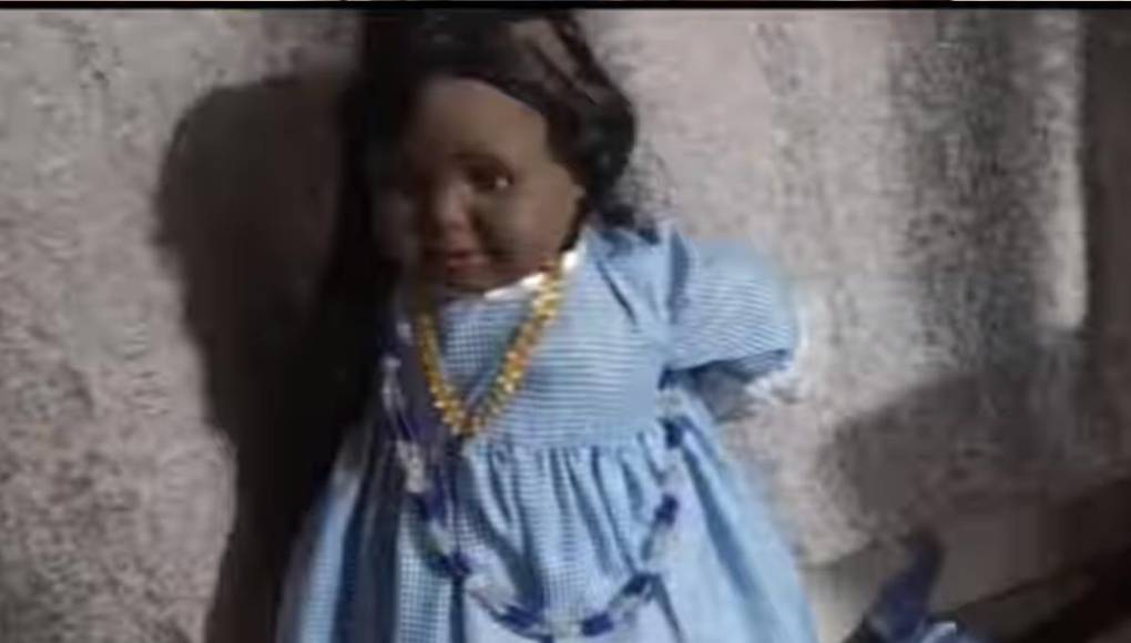 El mono araña fue trasladado a las instalaciones a la Secretaría de Seguridad Ciudadana, donde recibió la atención correspondiente, para garantizar que su vida.