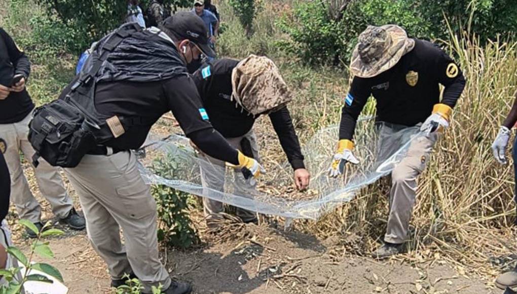 Miembros de la Atic exhuman los restos de personas enterradas en una fosa clandestina.