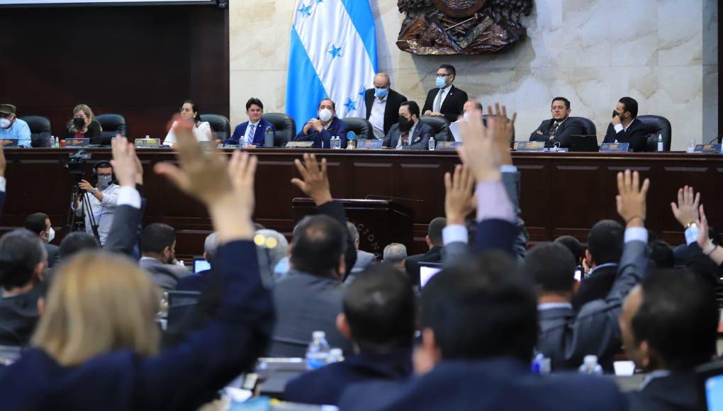 La legisladora dijo que algunos congresistas no respetan el código de vestimenta al llegar al Congreso Nacional. 