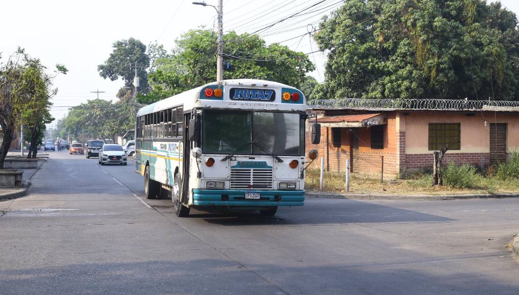 Los buses grandes han sido reemplazados por los microbuses que son más de 1,000.