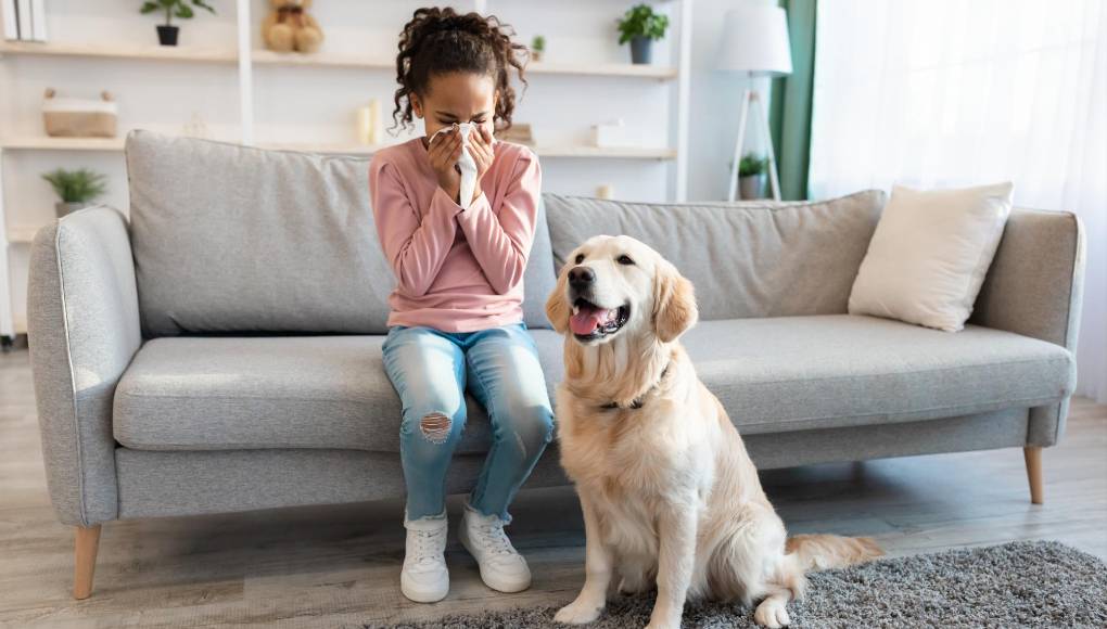 Alergias: los tipos que existen y cómo prevenirlas