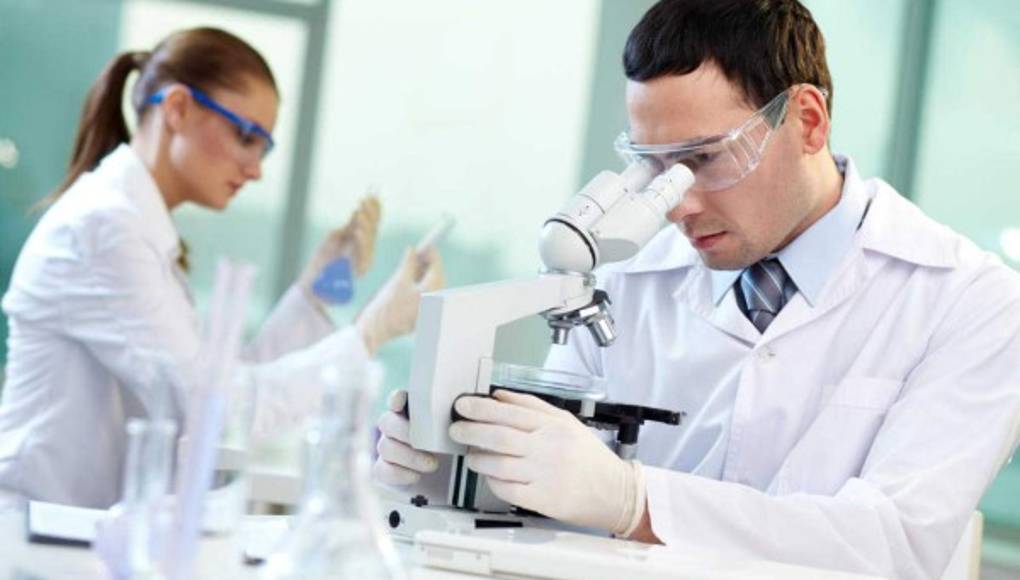 Unos científicos convierten células madre en esperma en ratones