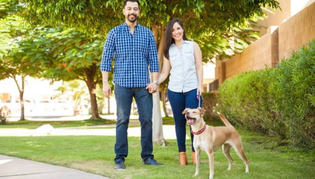 Entérese si su novio quiere casarse