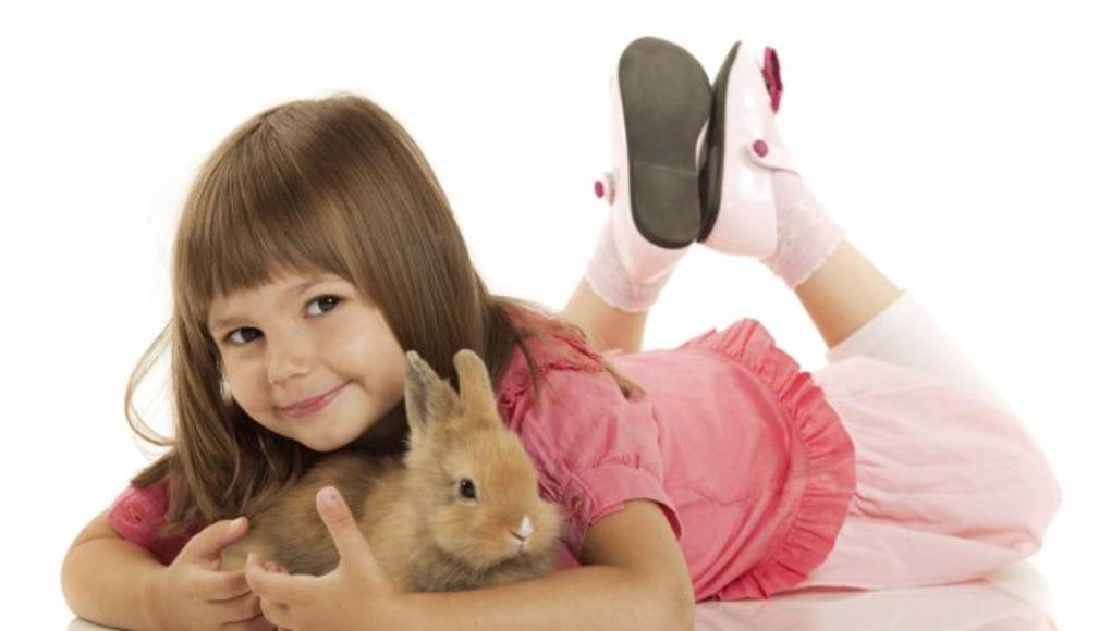 ¿Por qué los niños deben tener una mascota?