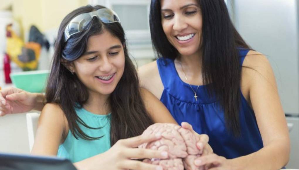 Conozca cómo funciona el cerebro de sus hijos  
