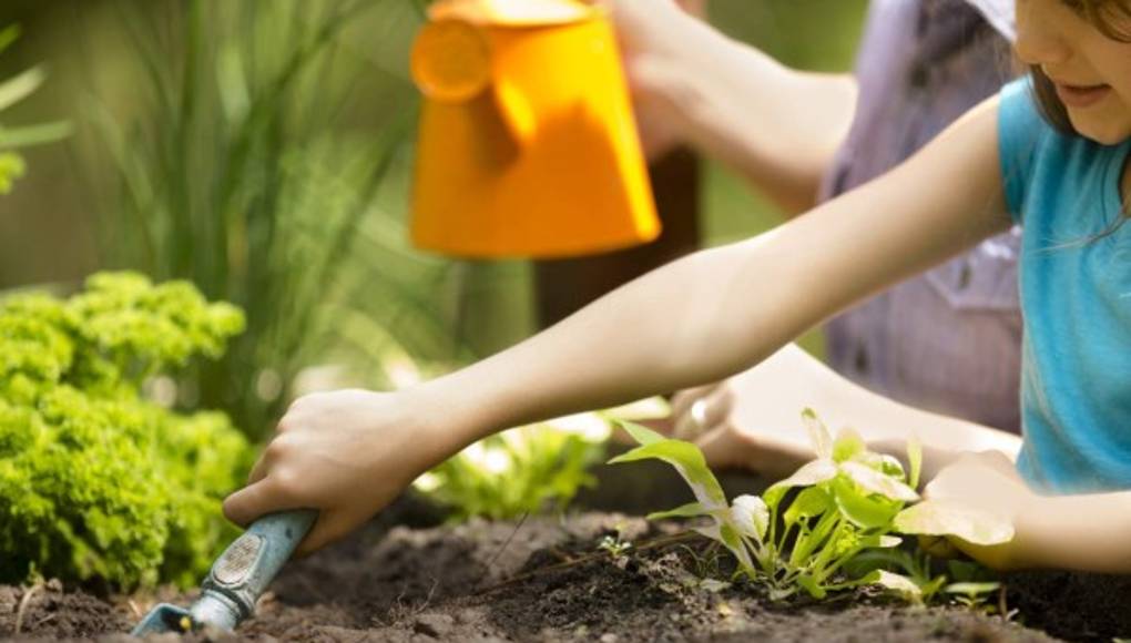 Decore con buen gusto los cuartos de las niñas