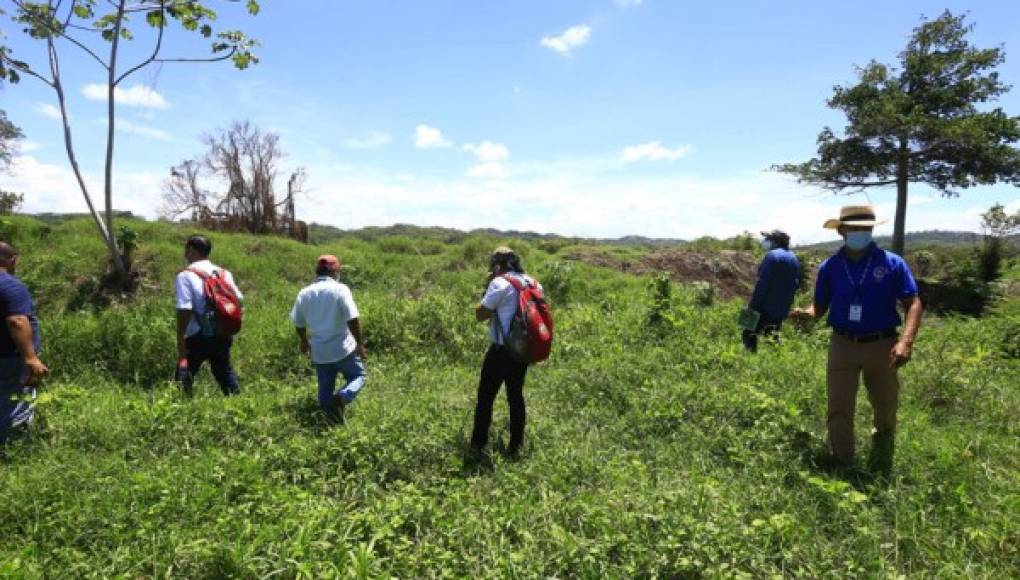 Investigan causas de daños en lagunas Jucutuma y Ticamaya