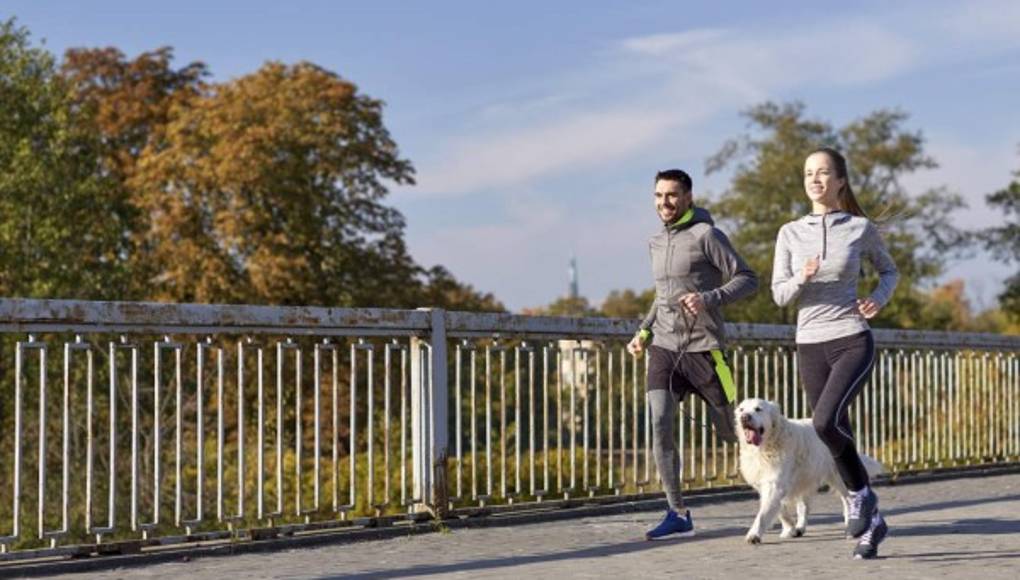 Tener mascota favorece la actividad