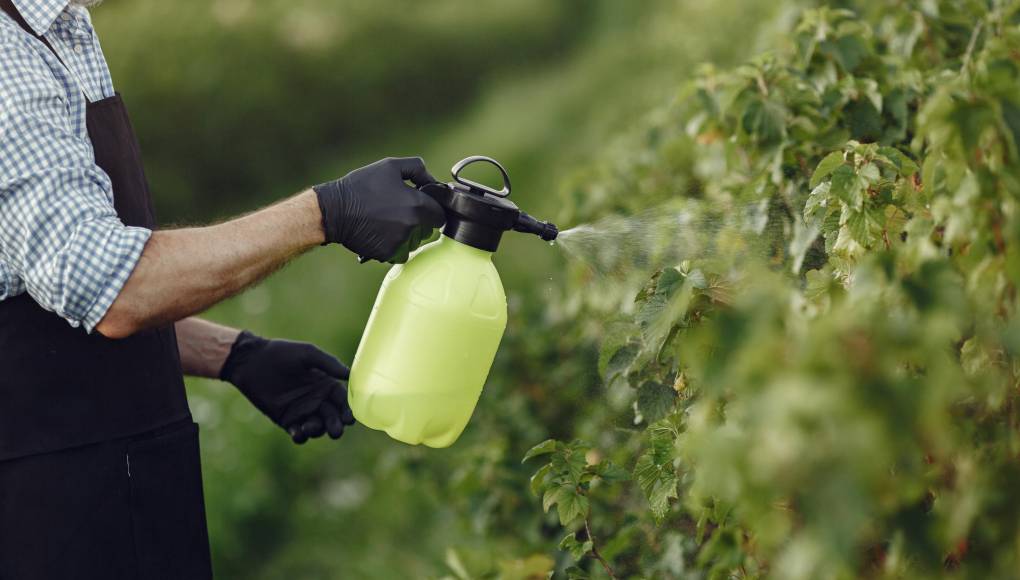 Los pesticidas, un peligro para la salud cada vez más presente en la agricultura