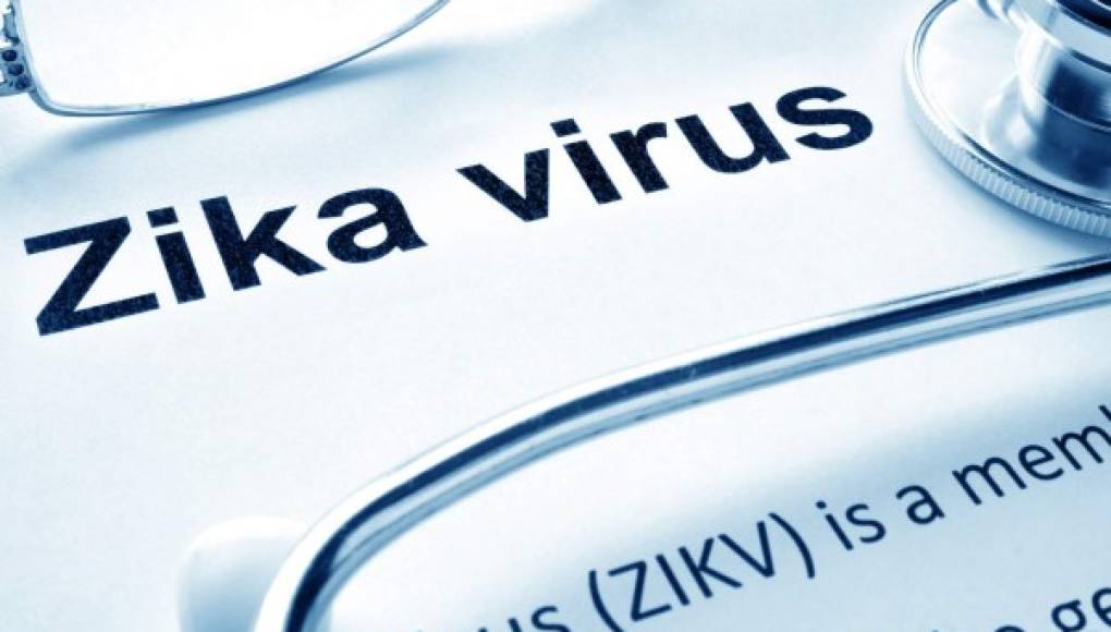 El mosquito del Zika también puede transmitir otros virus