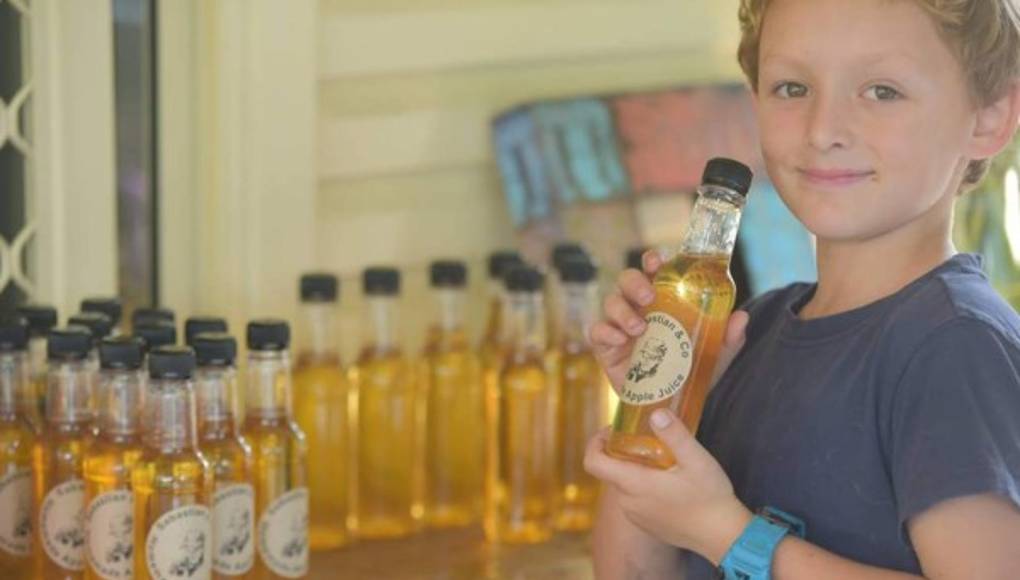 Compra poni vendiendo limonada