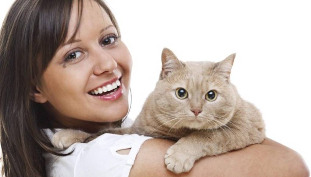 Tener un gato ayuda a mejorar la salud