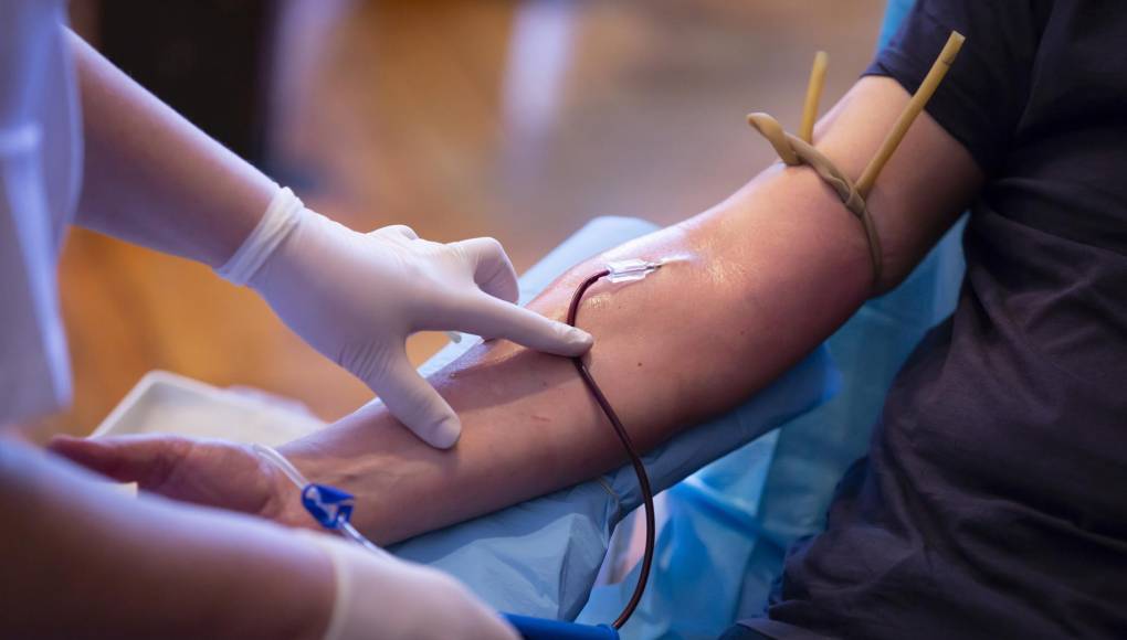 Cruz Roja Hondureña celebra el Día Mundial del Donante de Sangre