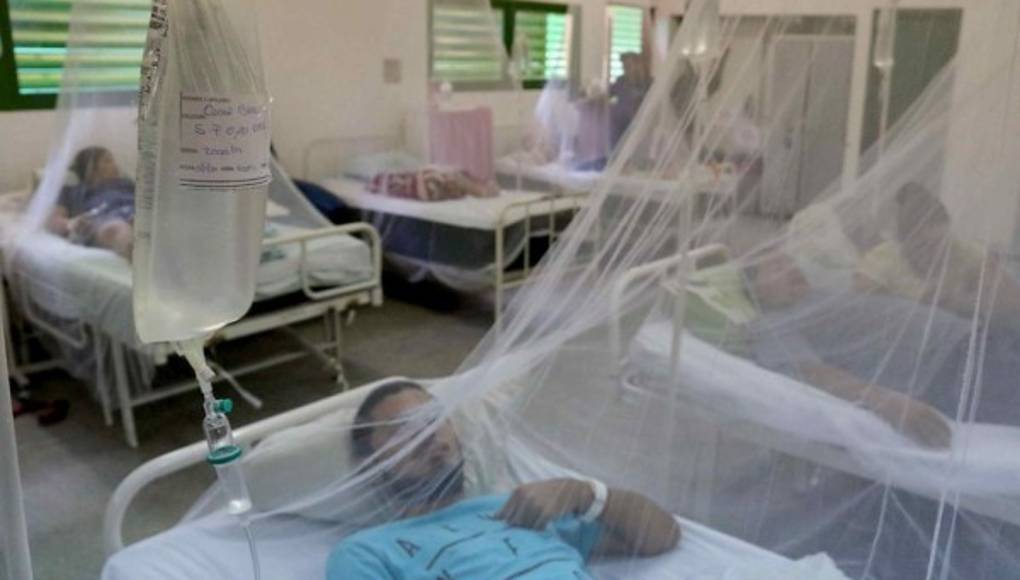 Siete de cada 10 americanos están expuestos al dengue, advierte la OMS