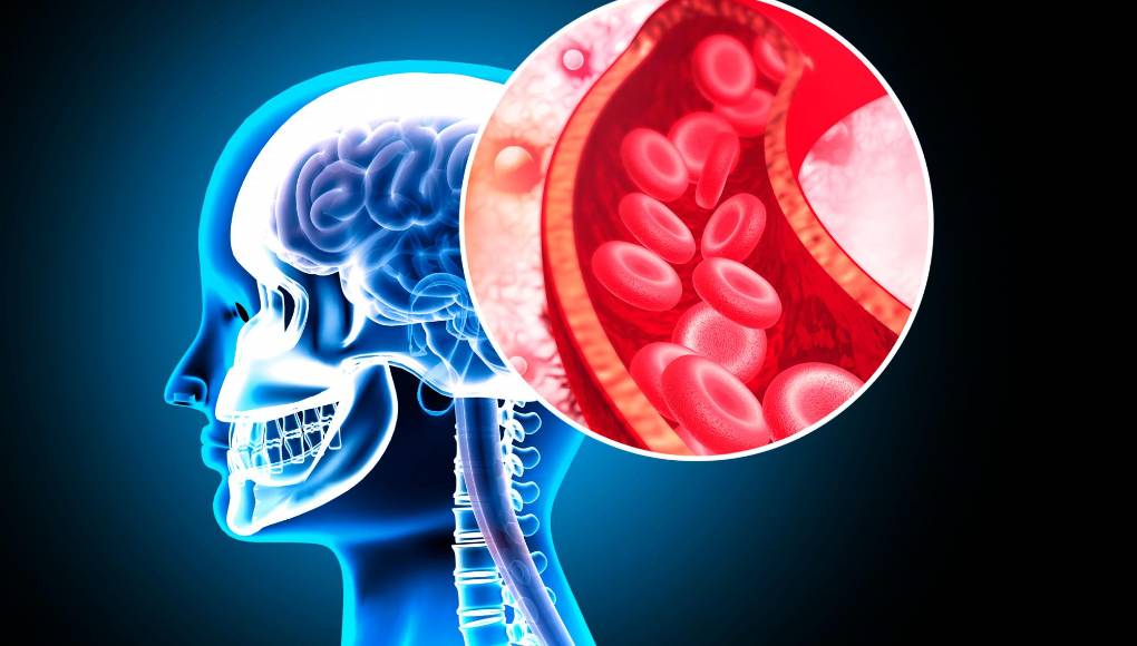 Cuidar dientes y encías ayuda a proteger el cerebro