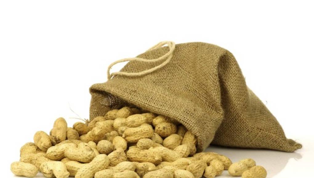 La alergia al cacahuate en la infancia podría estar relacionada con una mutación genética de la piel