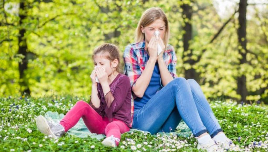 Ahora els el momento de ocuparse de las alergias de primavera