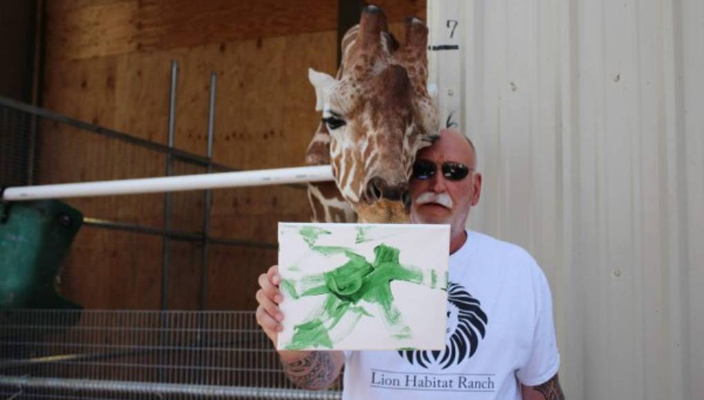 Ozzie, la famosa jirafa que pinta