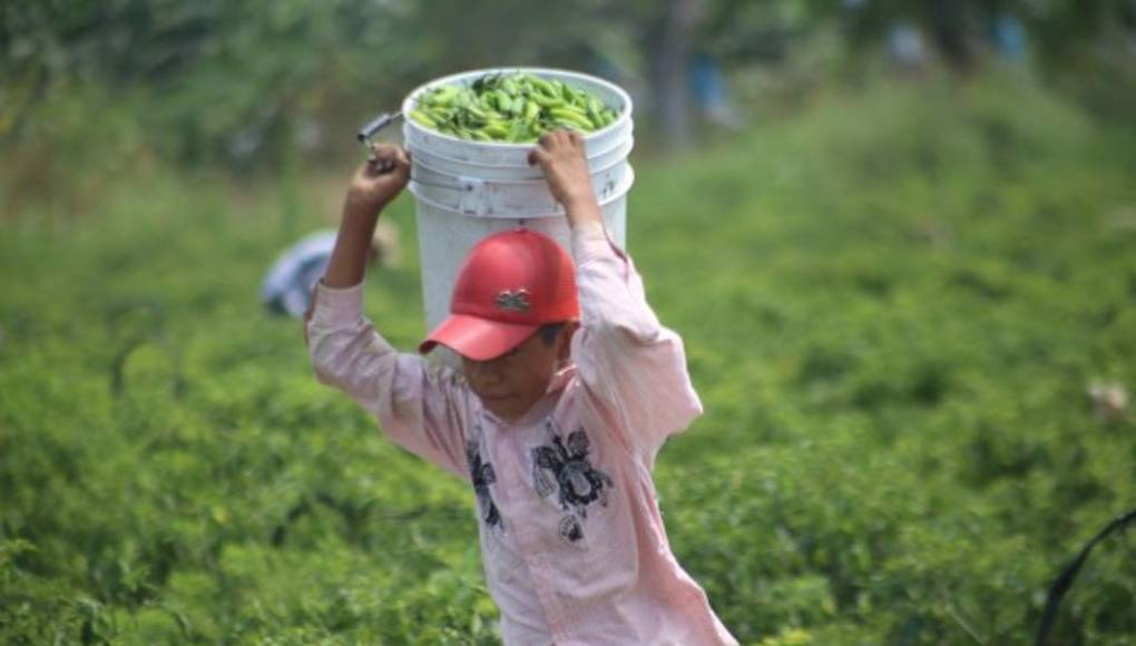 ¡Dí no al trabajo infantil!