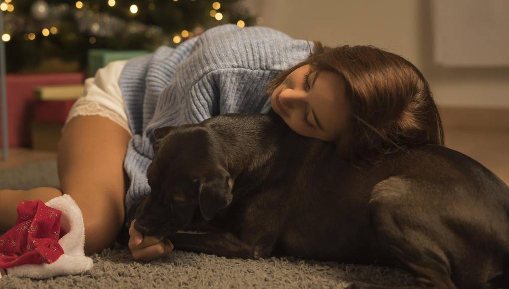 ¿Cómo calmar a su perro durante el estruendo de la pólvora?