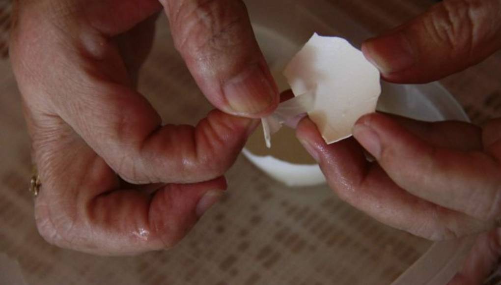 El maravilloso arte de reciclar  