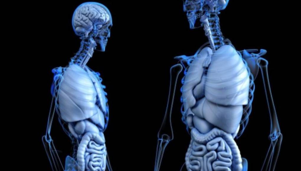 Prueban en humanos un cápsula 'inteligente' que viaja por el intestino