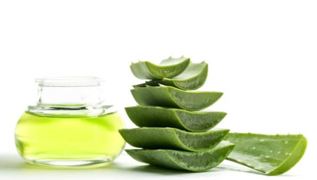 Use la sábila, aceite de coco y vinagre contra la caspa