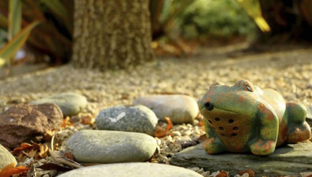 Ranas con pozo y hongos, marcan tendencia en las decoraciones para jardín