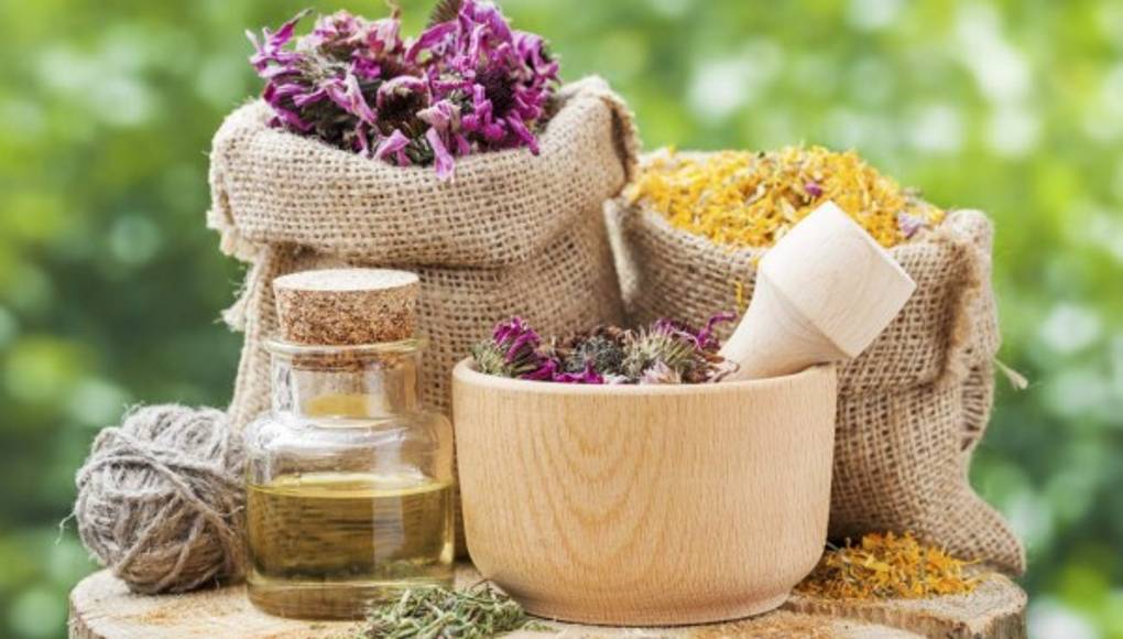 Seis repelentes naturales con aromas