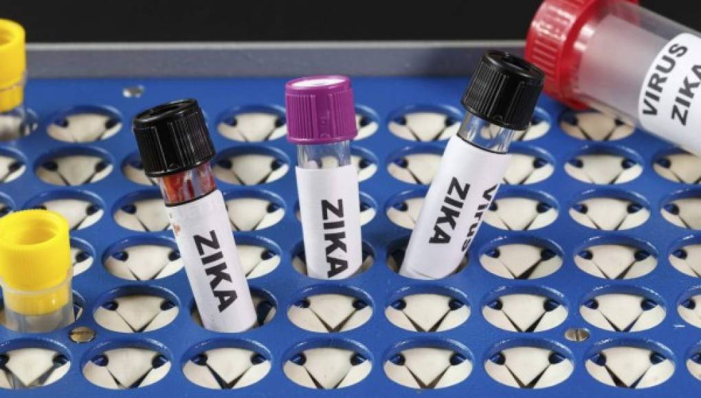 Epidemia zika sigue siendo una emergencia sanitaria de alcance internacional