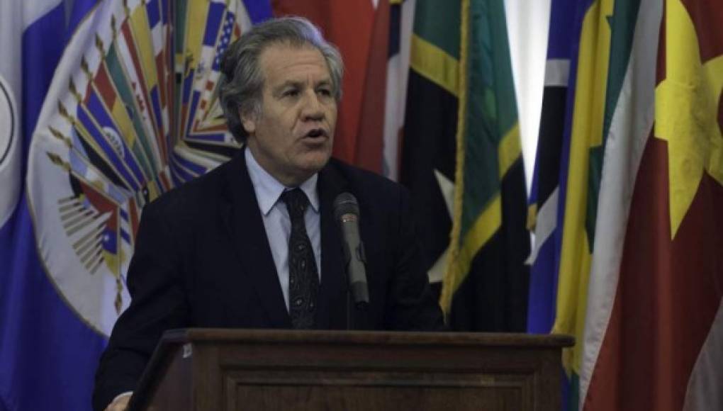 OEA dilata conclusiones sobre elecciones en Honduras