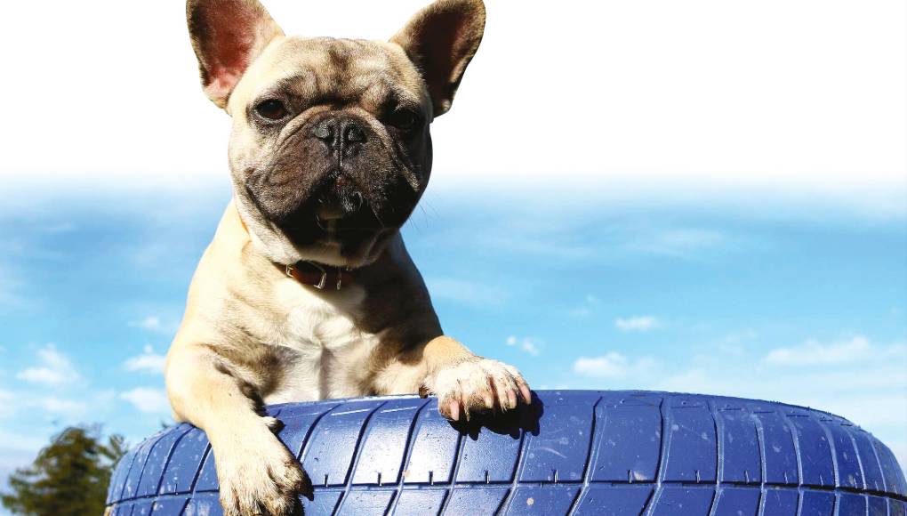 Camitas hechas con neumáticos