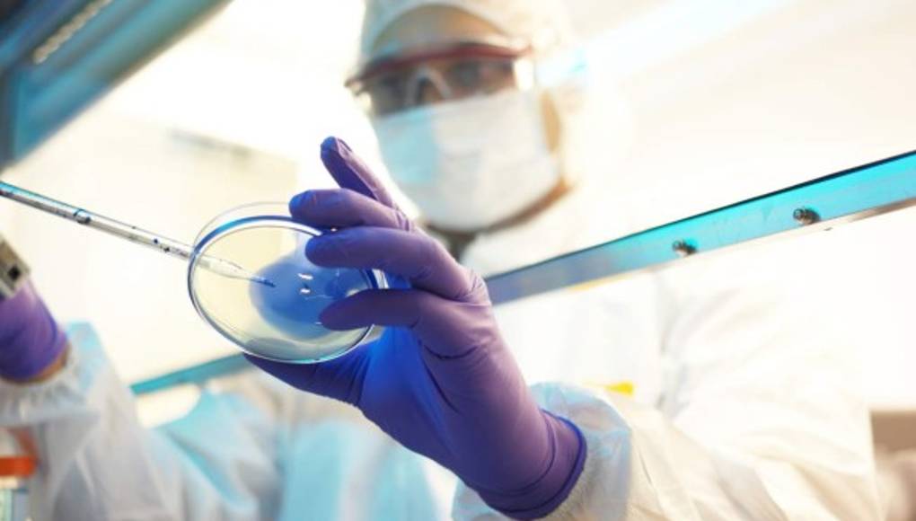 OMS: epidemia de ébola en RDC no es 'actualmente' una 'emergencia de salud' mundial