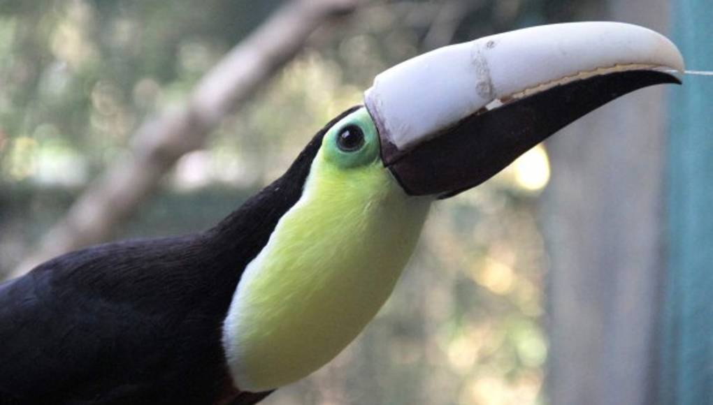 Un pico artificial para Grecia