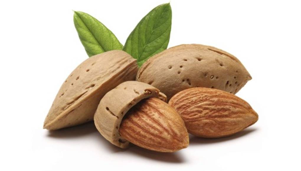 Almendras y nueces, aliados para perder peso