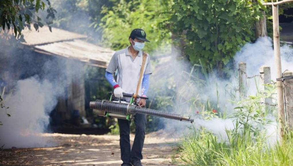 Crean un test para detectar el dengue mediante una pieza de ADN